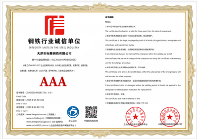 Integrity Unit in the Steel Industry