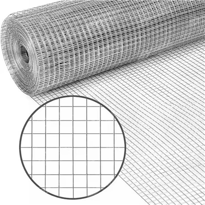 Welded Wire Mesh