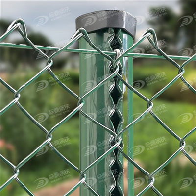 Chain Link Fence